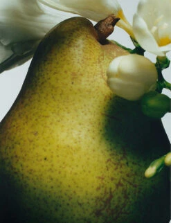 English Pear And Freesia Deluxe Candle 600g -Kurtgeiger Store R00079476 ALT02