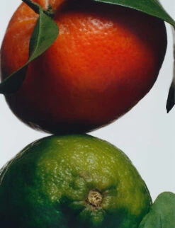 Lime Basil & Mandarin Car Diffuser Cartridge 5 Lime Basil & Mandarin Car Diffuser Cartridge -Kurtgeiger Store R03695079 ALT02