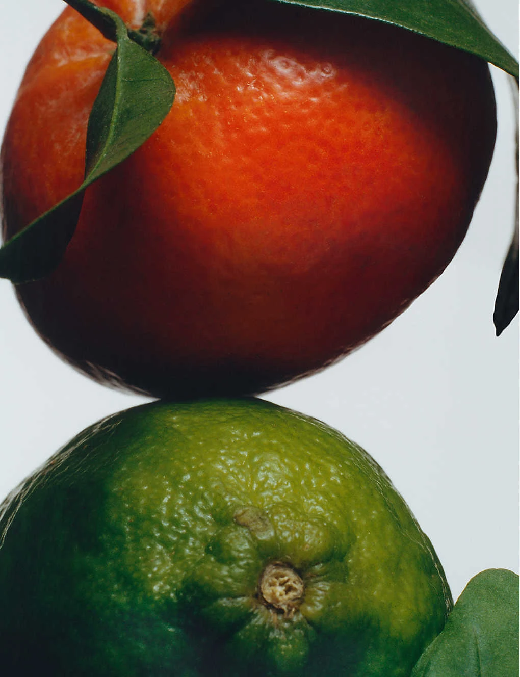 Lime Basil & Mandarin Car Diffuser Cartridge 3 Lime Basil & Mandarin Car Diffuser Cartridge - Image 3