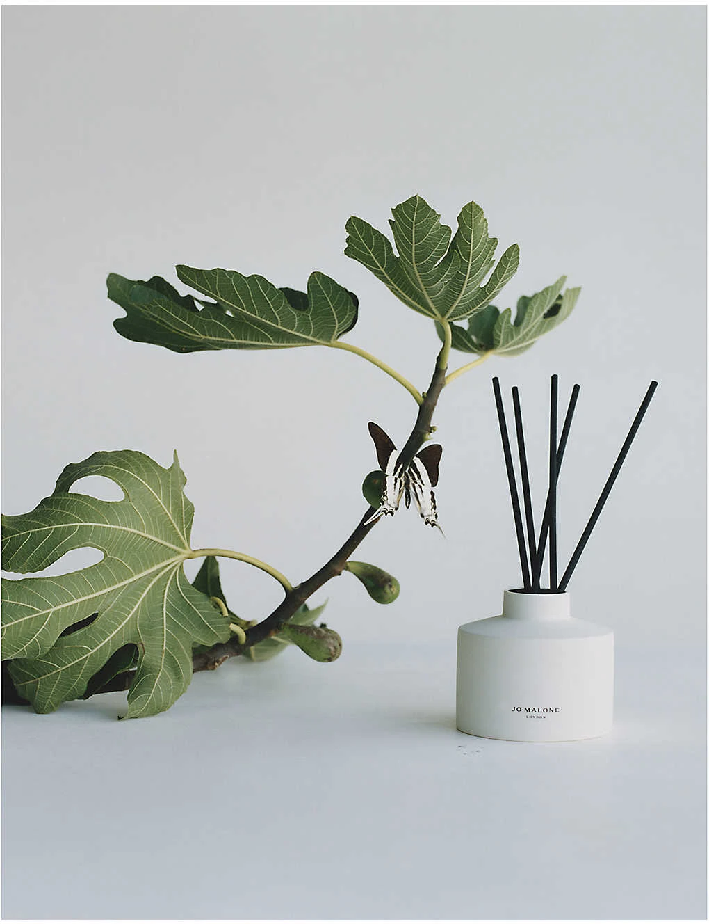 Fresh Fig & Cassis Diffuser And Refill 350ml 4 Fresh Fig & Cassis Diffuser And Refill 350ml - Image 4