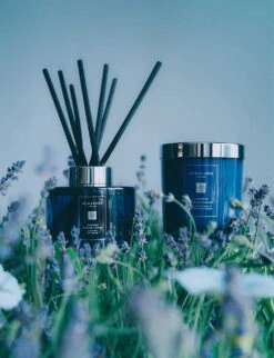 Lavender & Moonflower Scented Candle 200g -Kurtgeiger Store R03872556 ALT02